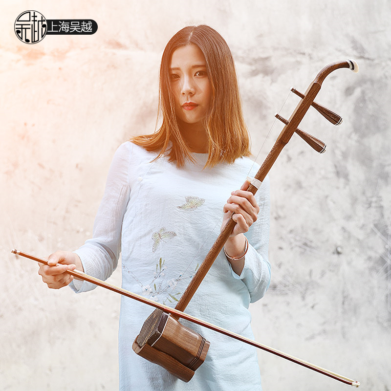 Instrumento Musical Tradiciona - Musical Instrument Book reseña y precio