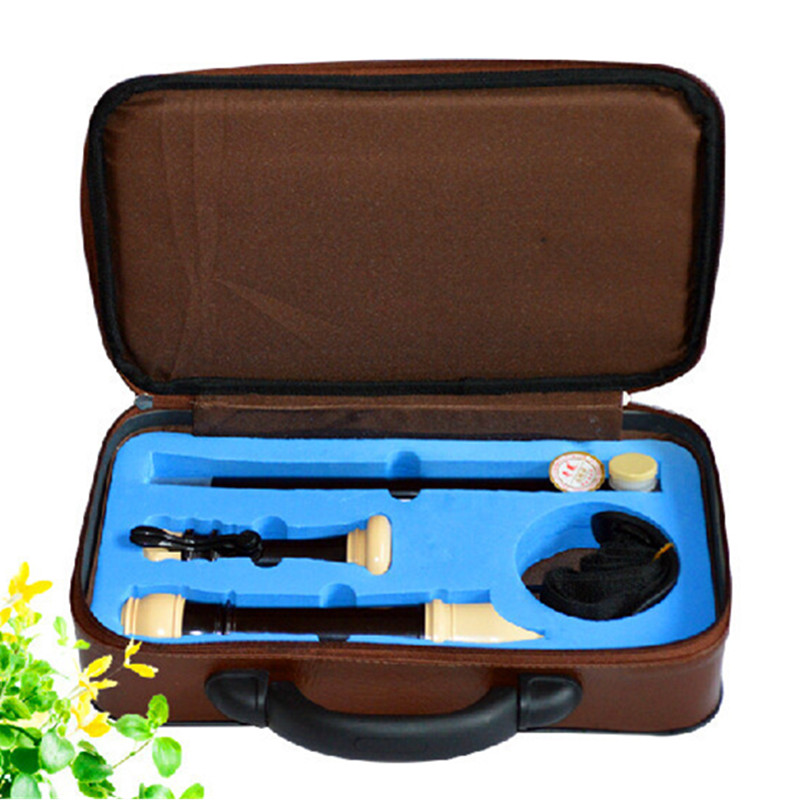 Flauta de Bisel de Plástico Es - Recorder Baroque Style reseña y precio