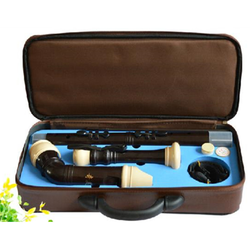 Clarinete de resina de bajo ba - Recorder Baroque Style reseña y precio
